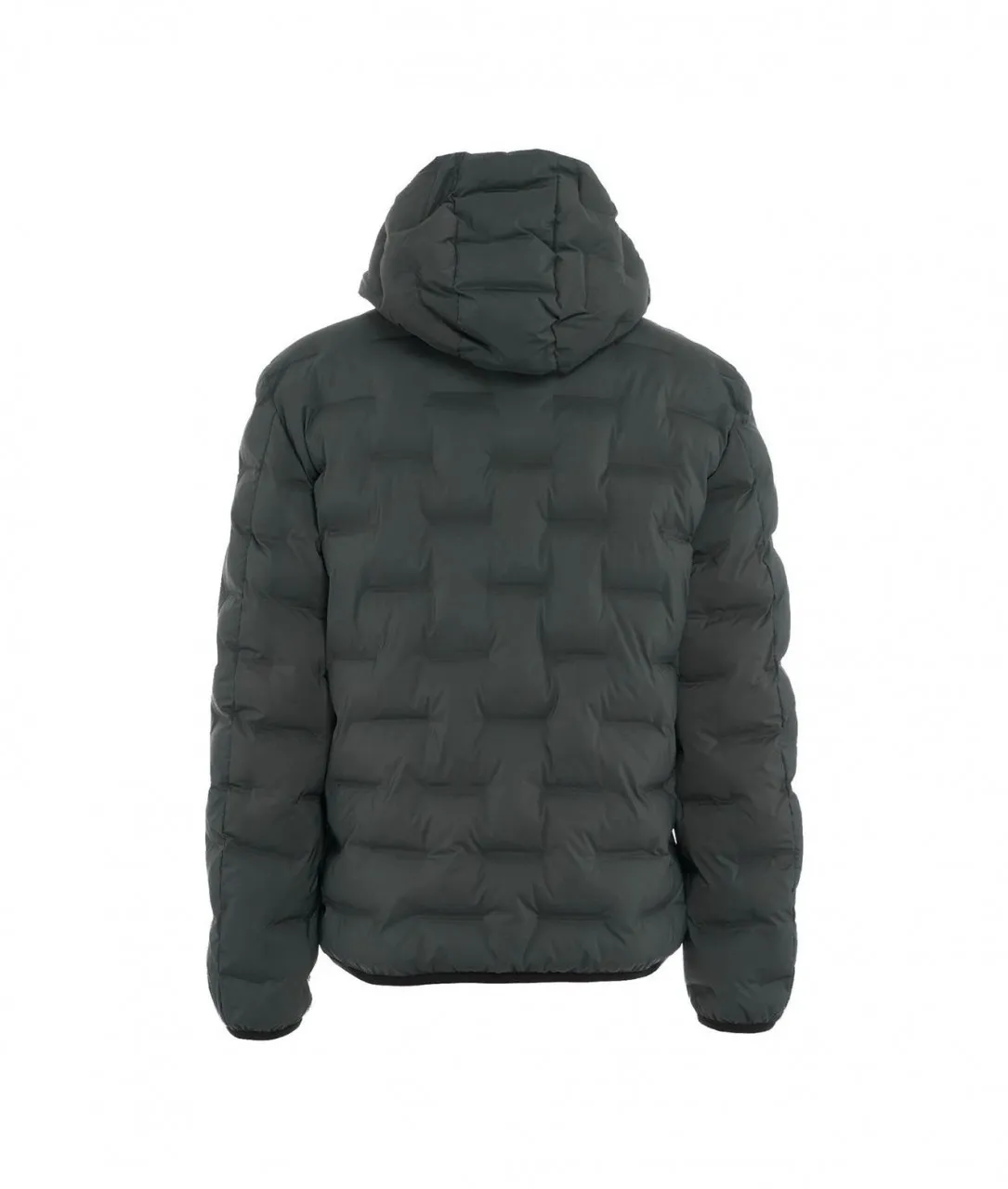 Eco piumino Brando JIN 01 verde curo verde scuro