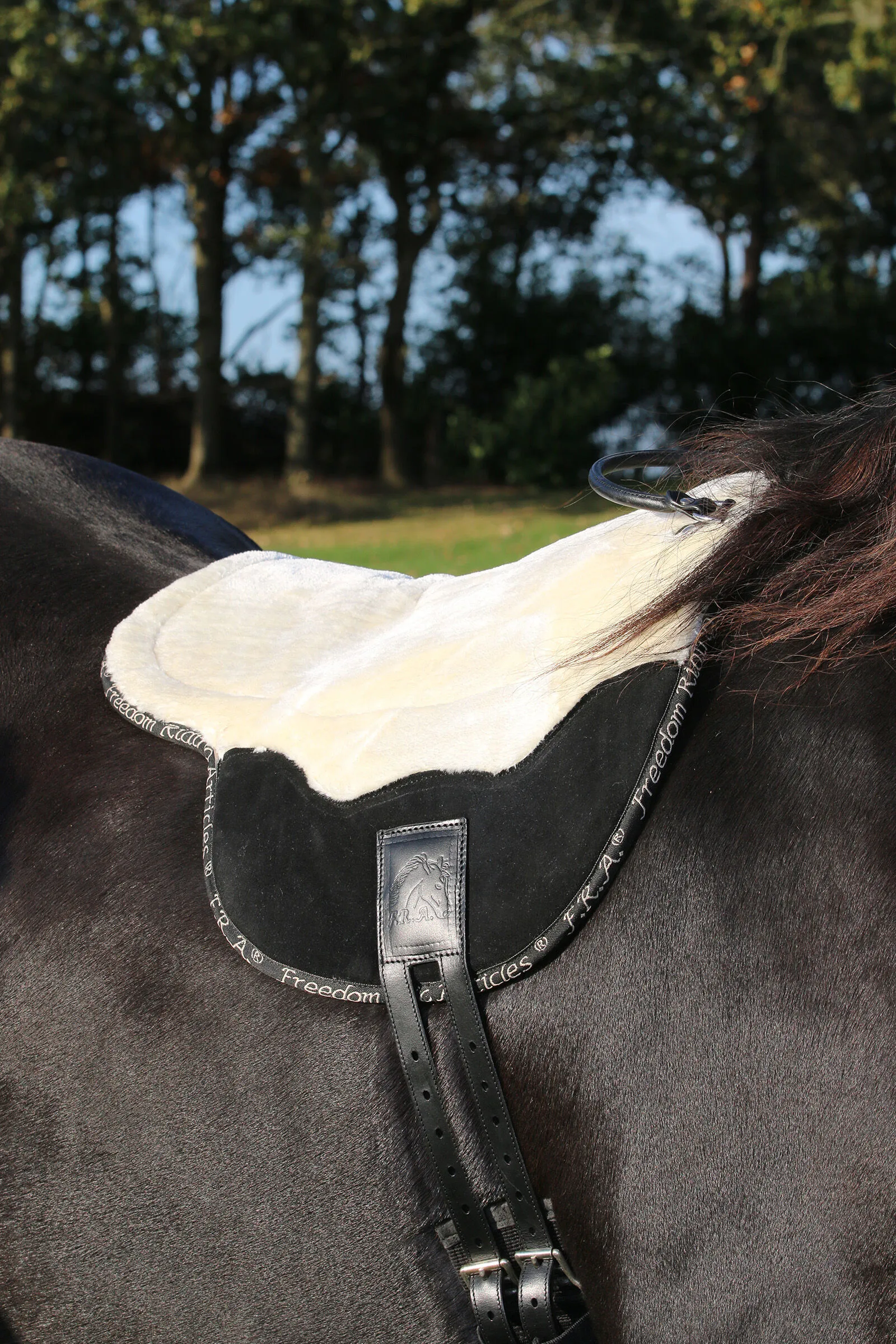 F.R.A. Cuscino da equitazione, misura intera