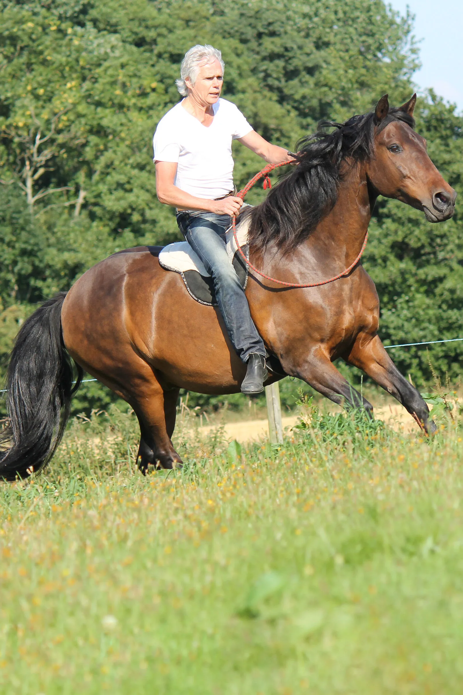 F.R.A. Cuscino da equitazione, misura intera